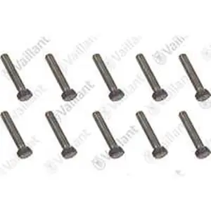 Vaillant schroef 0020135525, 10 stuks