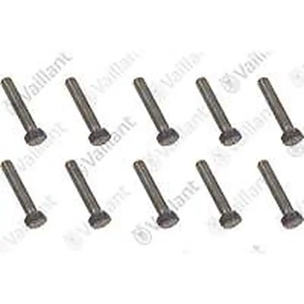 Vaillant schroef 0020135525, 10 stuks