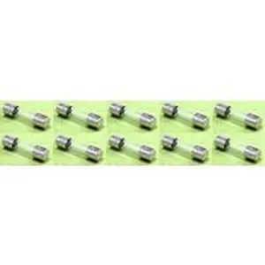 Vaillant zekering (10 stuks) voor ecoTEC plus