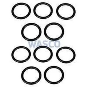 Vaillant O-ring R21x25(10 stuks)