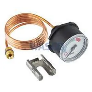 Vaillant manometer