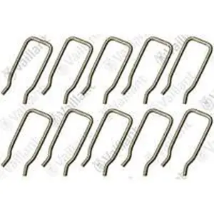 Vaillant borgveer 10 stuks