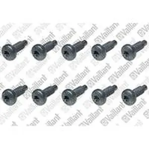Vaillant schroef 0020175810, 10 stuks