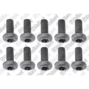 Vaillant schroef M8x20-a2 iso14583 (10 stuks)