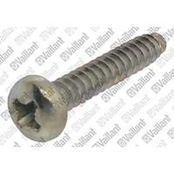 Vaillant schroef 63 x 32