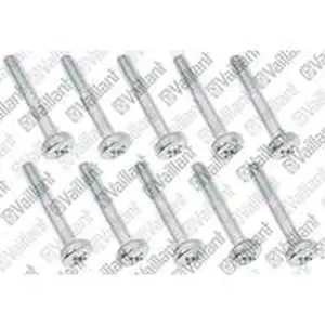 Vaillant schroef 10 stuks MAG11-0/0mini11-0/0XIGX14-0/0X