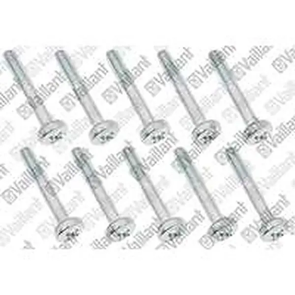 Vaillant schroef 10 stuks MAG11-0/0mini11-0/0XIGX14-0/0X