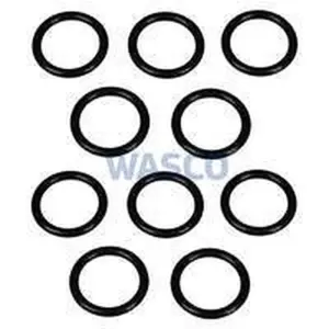 Vaillant O-ring (10 stuks)