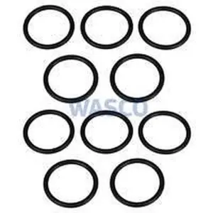 Vaillant pakkingring 10 stuks voor ecoTEC plus