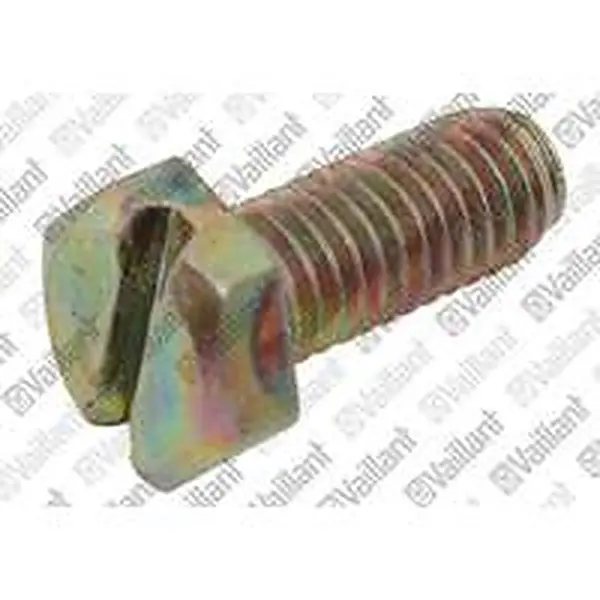 Vaillant schroef m6x15