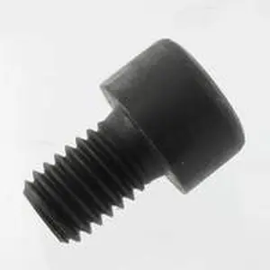 Intergas imbusbout M8 x 12 305 117