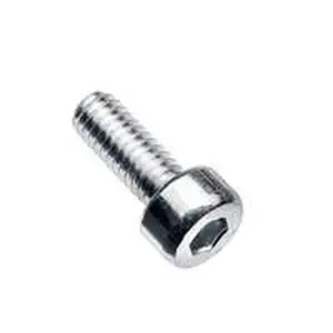 Intergas inbusbout M4 x 10 mm