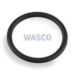 Intergas O-ring Ø 19 x 2 mm