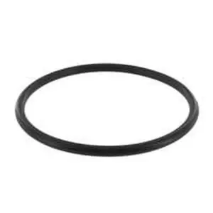 Intergas O-ring Ø 68 x 4 mm condensbak voor Kombi Kompakt HRE en HReco