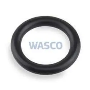 Intergas O-ring gaskoppeling 17 x 2,5 mm