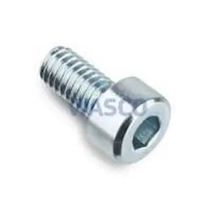 Intergas inbusschroef M4 x 8 mm