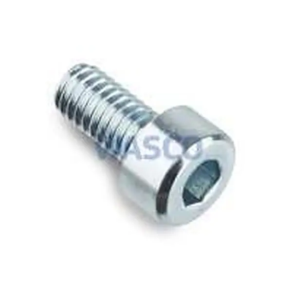Intergas inbusschroef M4 x 8 mm