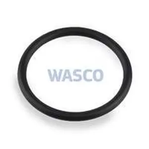 Intergas O-ring Ø 28,25 x 2,62 mm