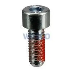 Intergas inbusboutjes M8 x 20 mm