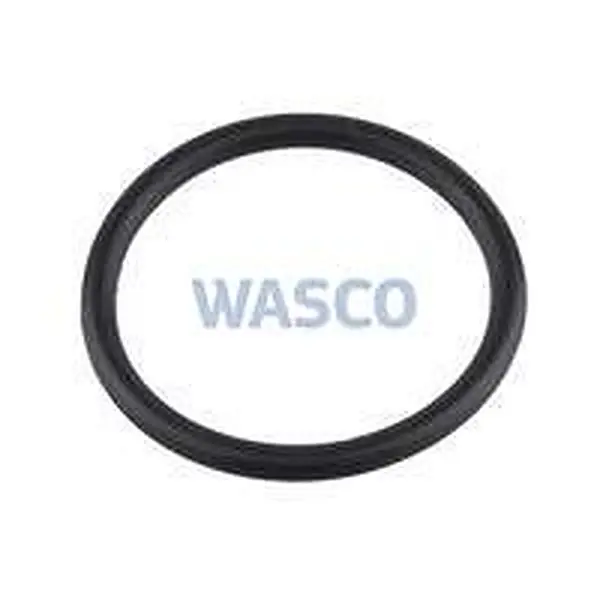 Intergas O-ring 26,65x2,62 EPDM