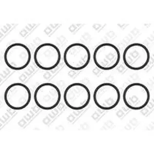 AWB O-ring (10 stuks)