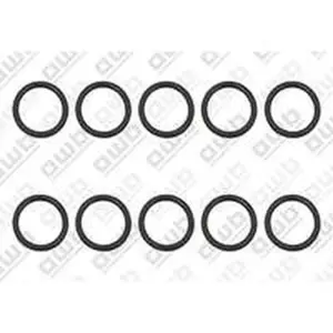 AWB O-ring t.b.v. ThermoMaster