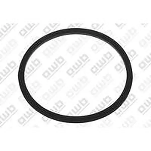 AWB O-ring