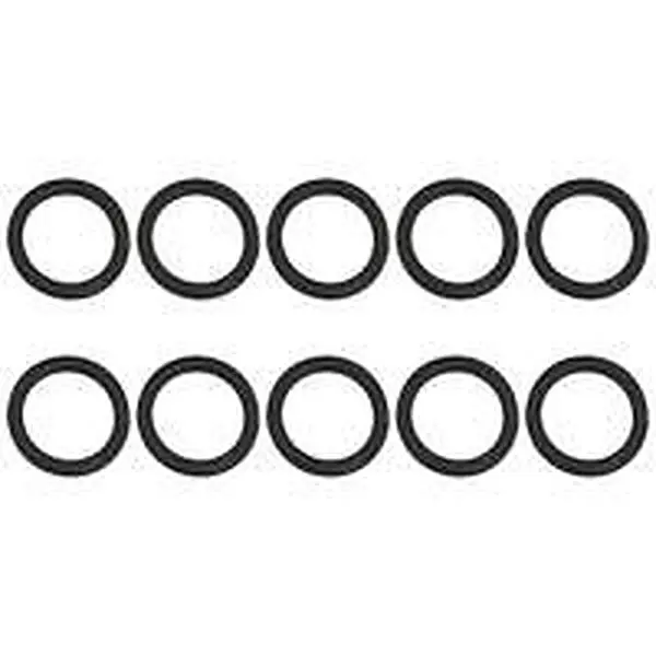 AWB O-ring (x10) t.b.v. ThermoMaster