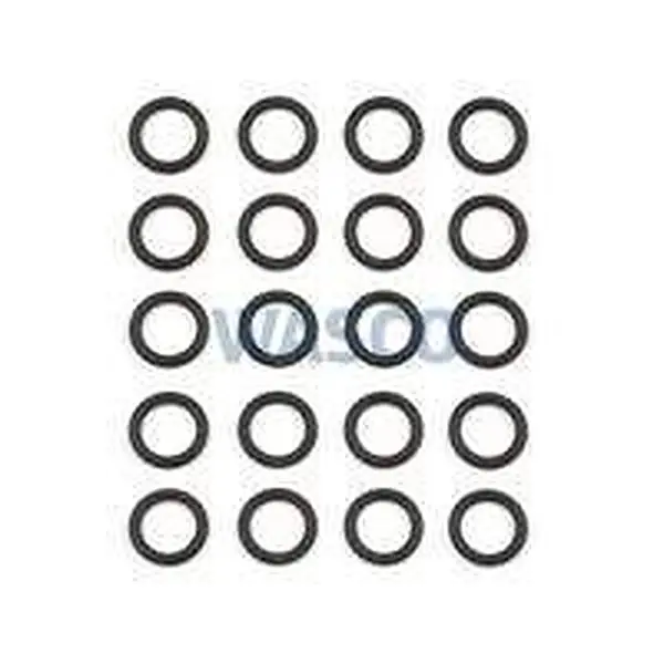 AWB O ring 17mm inw.(set)20 stuks