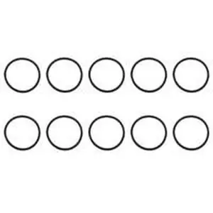 AWB O-ring, gasblok 10 stuks