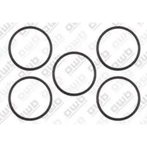 AWB O-ring pomp Sanitair