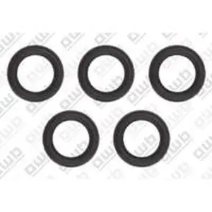 AWB O-ring 5 stuks