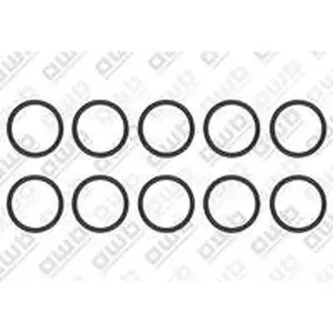 AWB O-ring 10 stuks