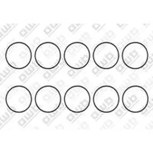 AWB O-ring 10 stuks