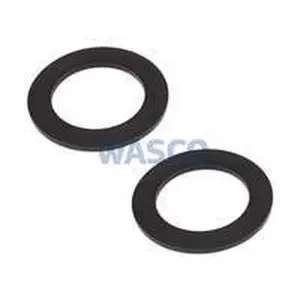 Atag pomppakking 3/4" DN20 R38x25x2 mm 2 stuks