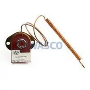 Atag max thermostaat Ranco 113°