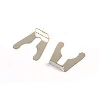 Atag clip rvs dn 20 (2 stuks)