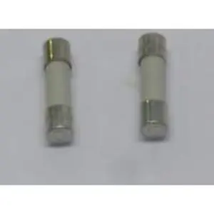 Atag zekering 6,3 at h 250v (3 x )