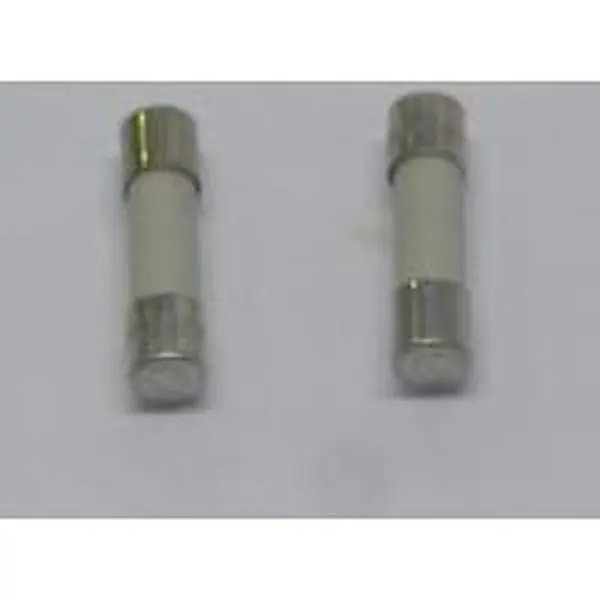 Atag zekering 6,3 at h 250v (3 x )
