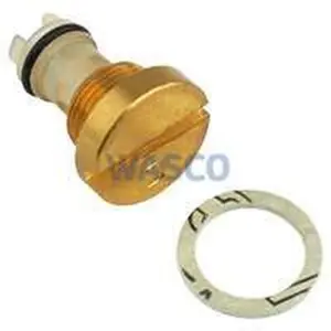 Bosch langzaamontstekingsvent W135/WR250/32