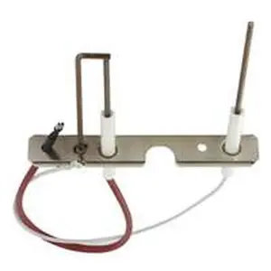 Bosch electrodeset