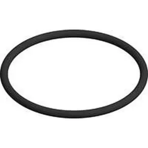 Eco Heating o-ring gasklep S003.100.007