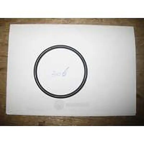 Rendamax o-ring oud nr.: ARO306