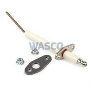 Rendamax electrode ionisatie