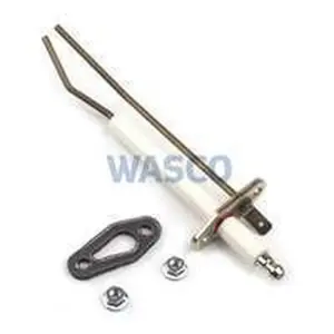 Rendamax electrode ontsteking