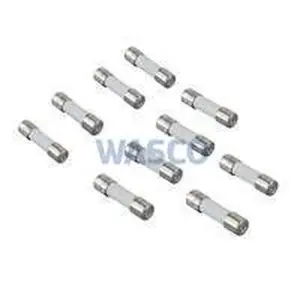 Viessmann zekering t 6,3a 250v 10 stuks