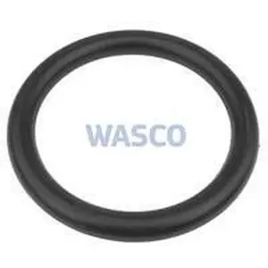 A.O. Smith O-ring mangat R126x14