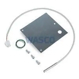 Inventum heetgassensor
