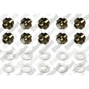 Vaillant branderinspuiter 0.30 2K 10 stuks