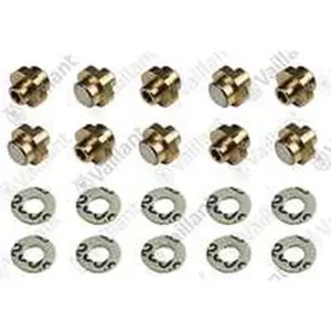 Vaillant branderinspuiter 0.25 2H 10 stuks